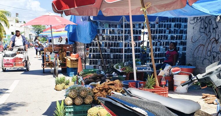 tianguis-playadelcarmen-local-market
