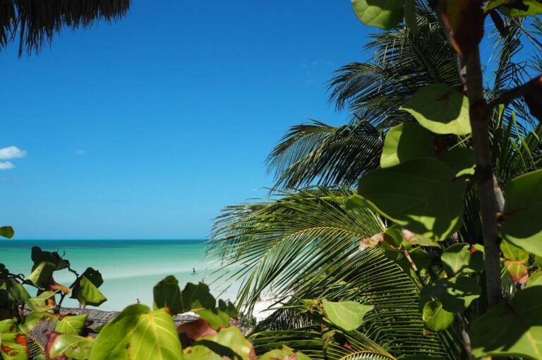 isla-holbox-quintaroo-mexico