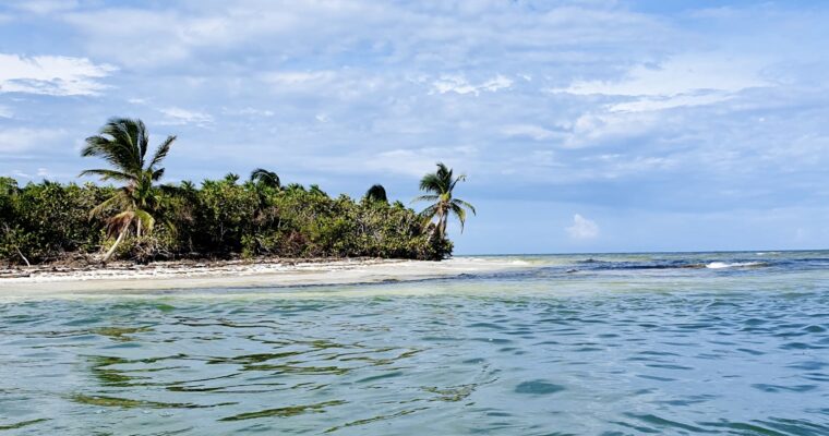 muyil-siankaan-mexico-excursie-zeekoeien-floaten-travelmexico