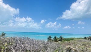 mexico-yucatan-isla-contoy