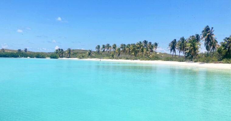 Tour Isla Contoy: snorkelen & bounty beaches bij het mooiste onbewoonde & onbekende eiland van Mexico