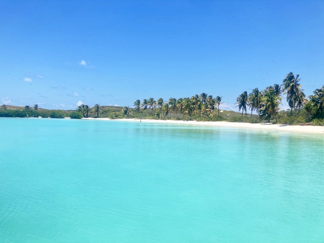 Tour Isla Contoy: snorkelen & bounty beaches bij het mooiste onbewoonde & onbekende eiland van Mexico
