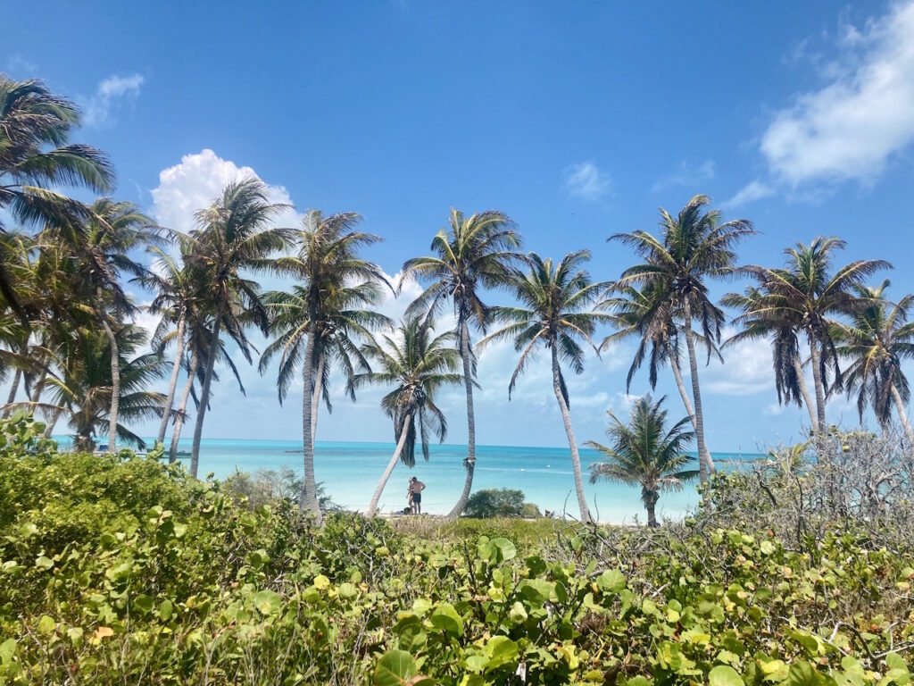 mexico-yucatan-isla-contoy