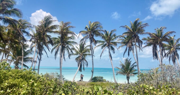 mexico-yucatan-isla-contoy