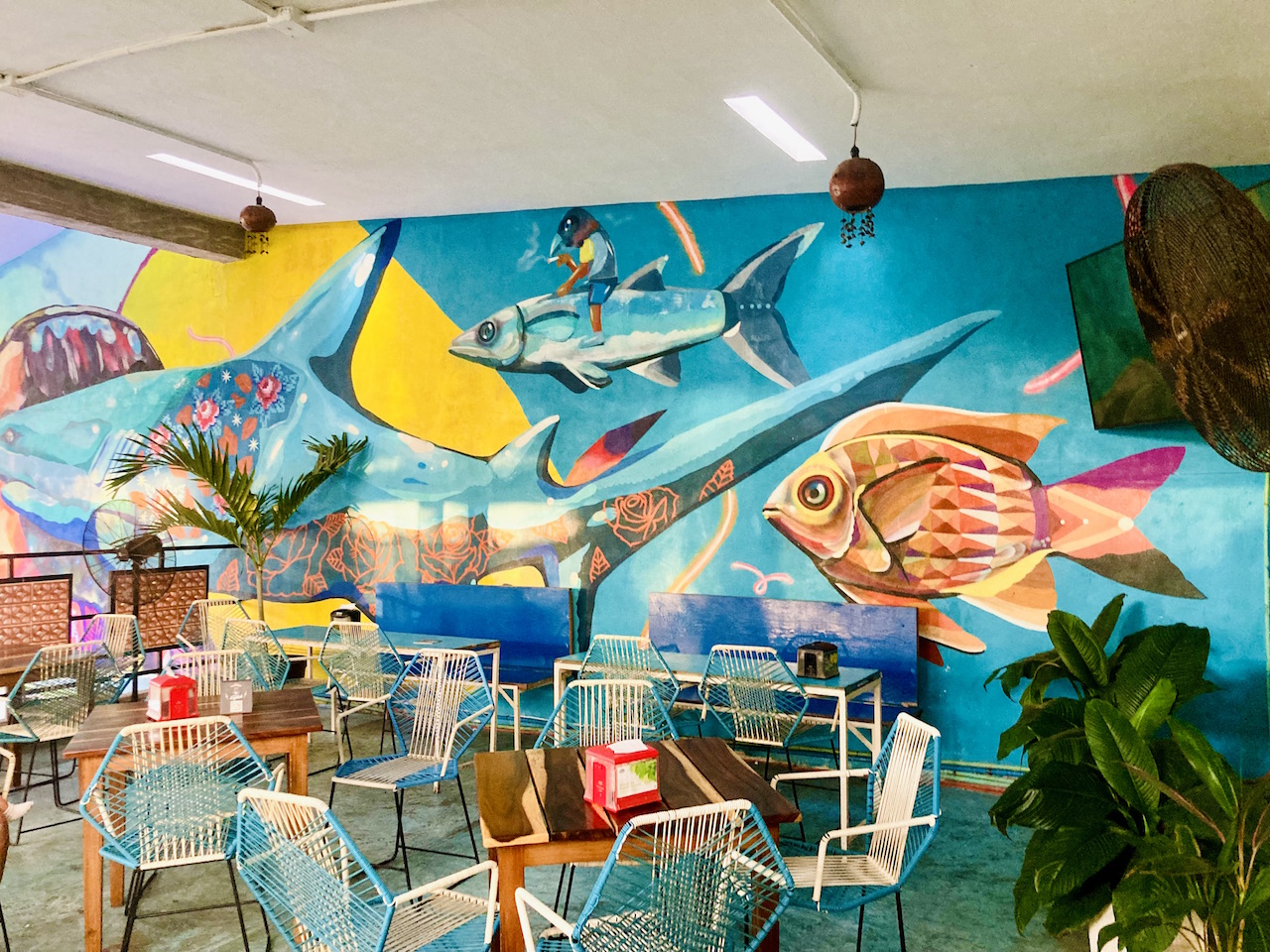 HOTSPOT: seafood bij trendy El Doctorcito