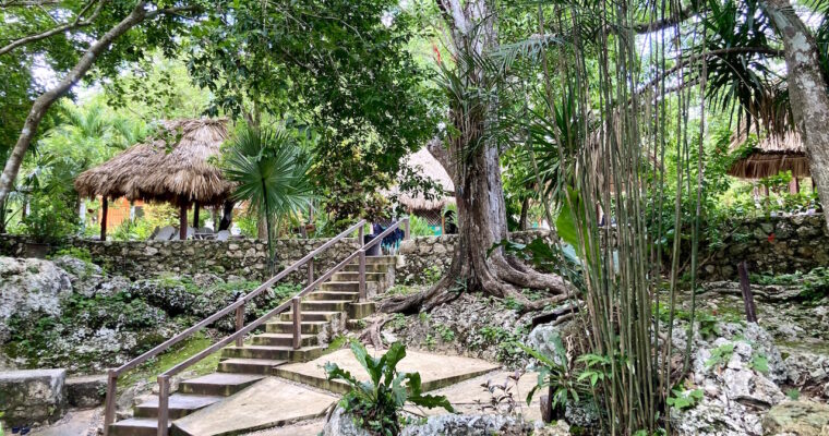lucero-verde-cenote-puerto-morelos