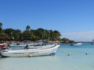 akumal-yucatan-mexico-schildpadden-snorkelen-turtlebay
