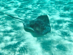 cozumel-mexico-eiland-yucatan