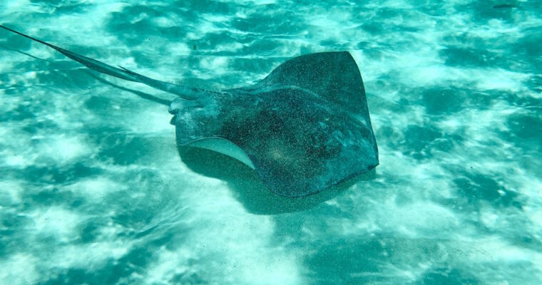 cozumel-mexico-eiland-yucatan