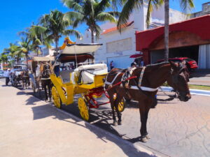 cozumel-mexico-eiland-yucatan